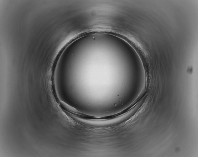 X0000098131325200804171511
