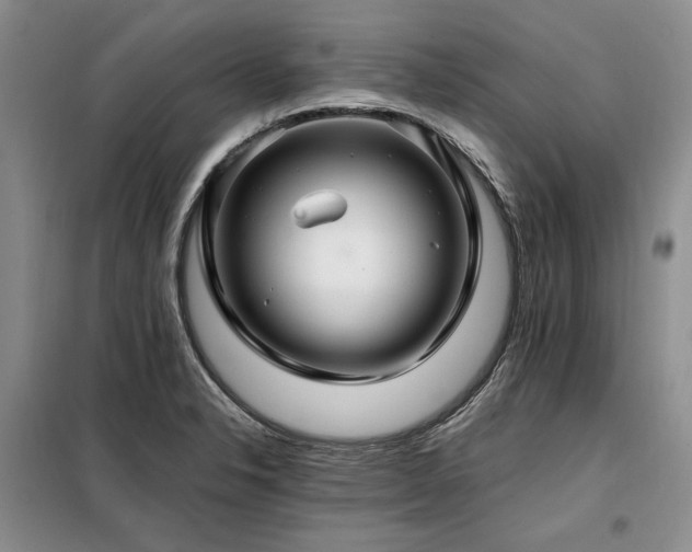 X0000098131326200804171511