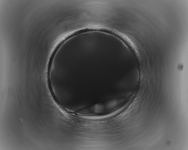 X0000098131327200804171511