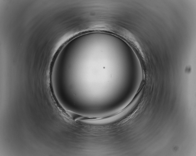 X0000098131328200804171511