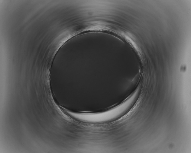 X0000098131329200804171511
