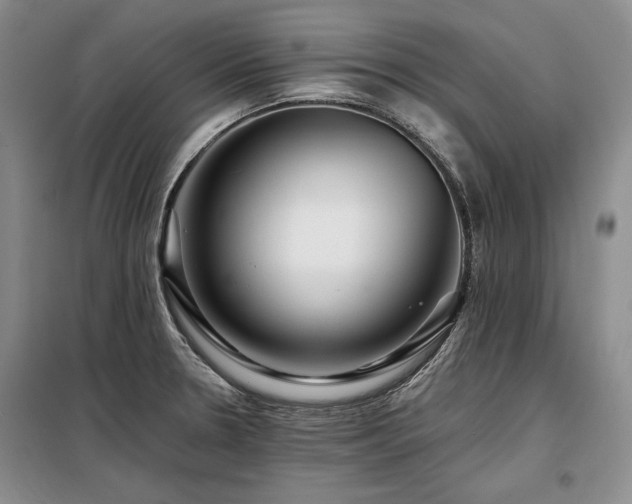 X0000098131330200804171511