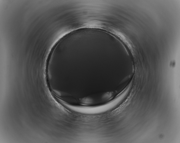 X0000098131331200804171511