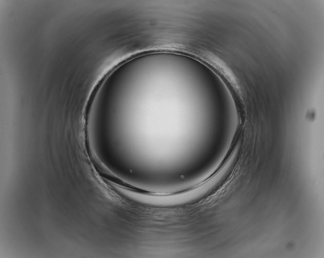X0000098131332200804171511