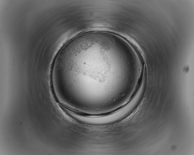 X0000098131333200804171511