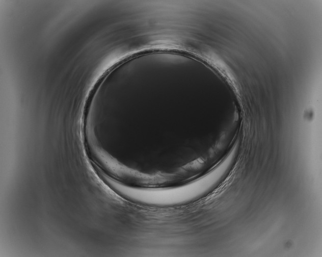 X0000098131334200804171511