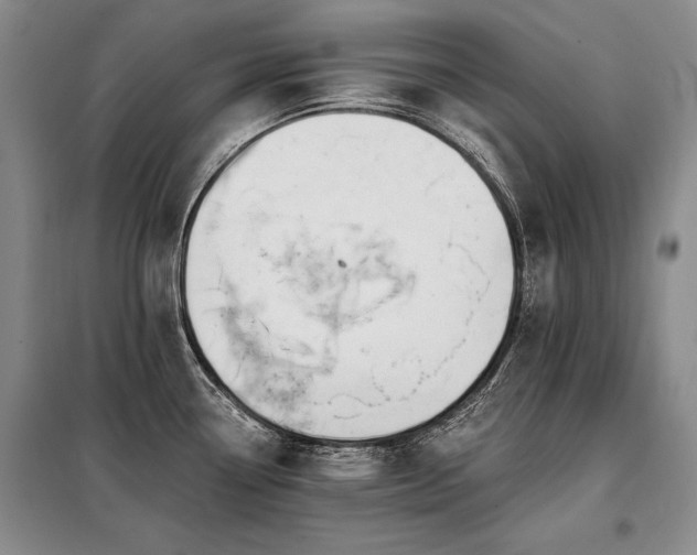 X0000098131338200804171511