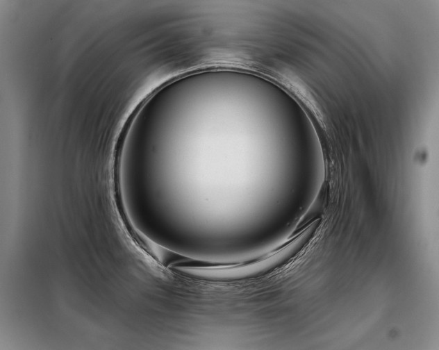 X0000098131339200804171511