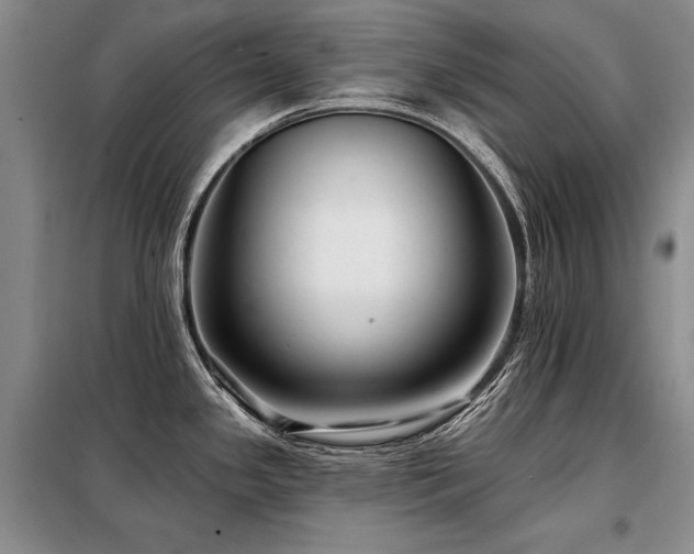 X0000098131341200804171512