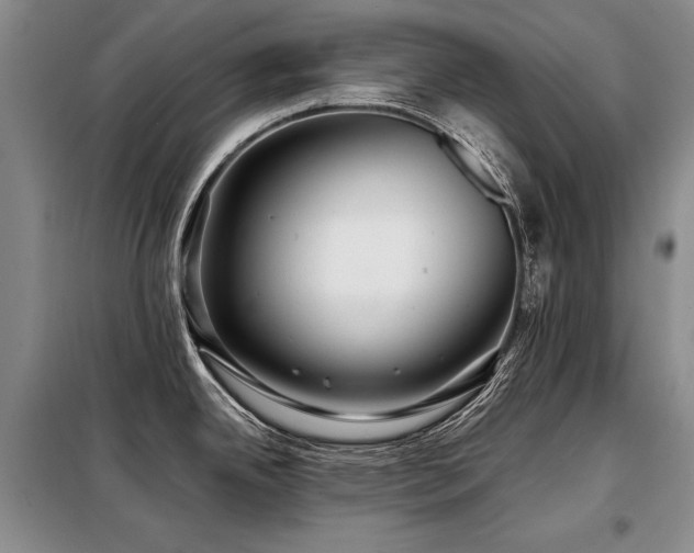 X0000098131342200804171512