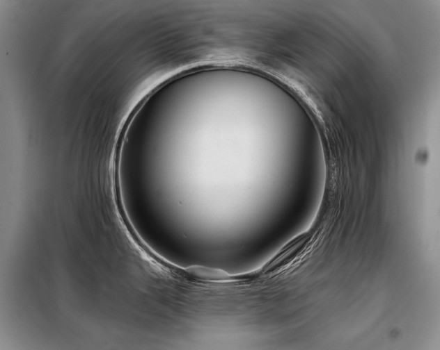 X0000098131343200804171512