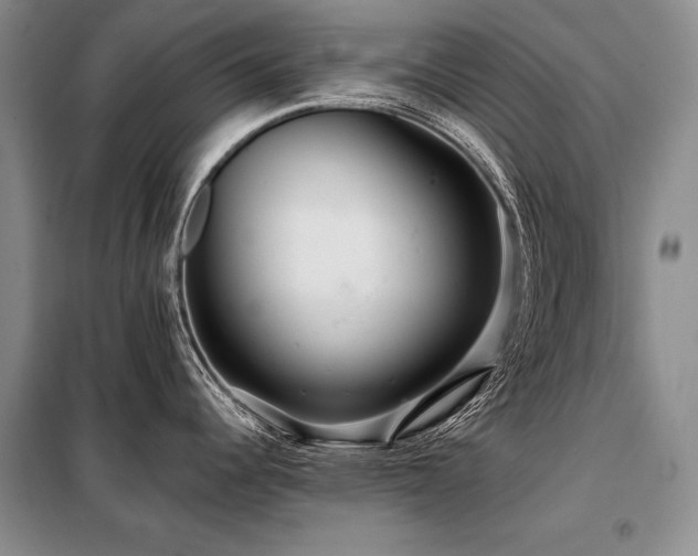 X0000098131344200804171512