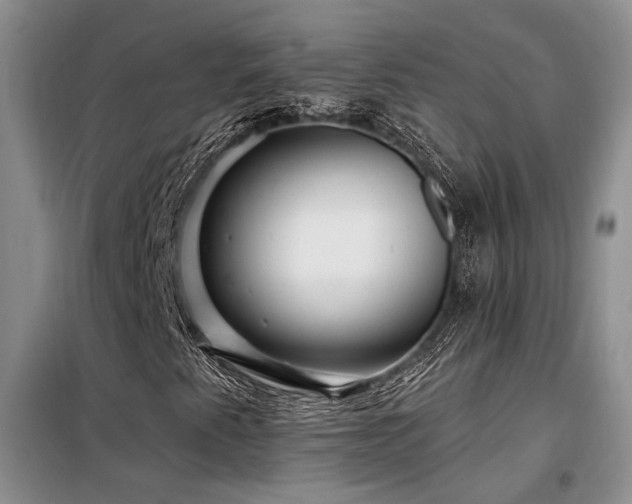X0000098131345200804171511