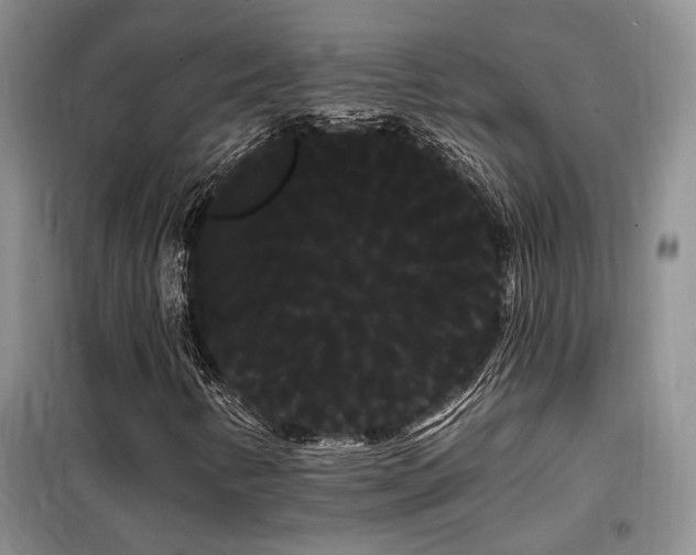 X0000098131346200804171511