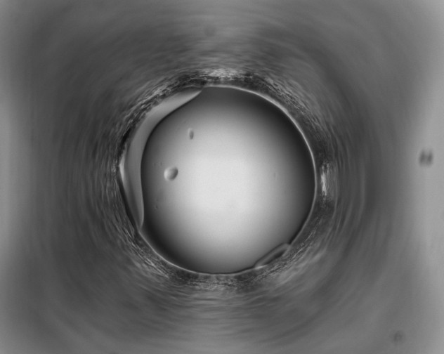 X0000098131347200804171511