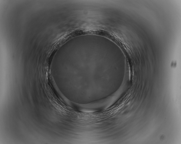 X0000098131348200804171511