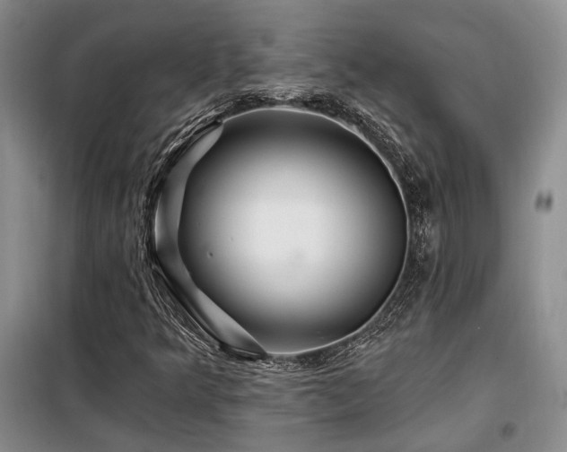 X0000098131349200804171511