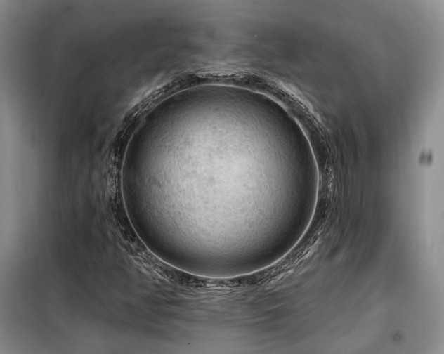 X0000098131350200804171511
