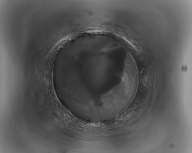 X0000098131351200804171511
