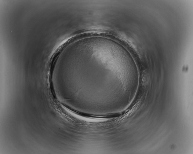 X0000098131352200804171511