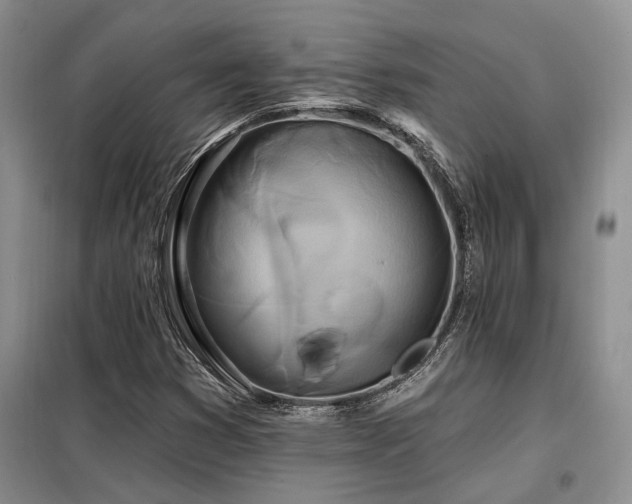 X0000098131353200804171511