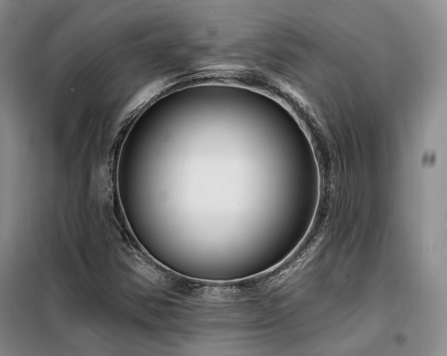 X0000098131354200804171511