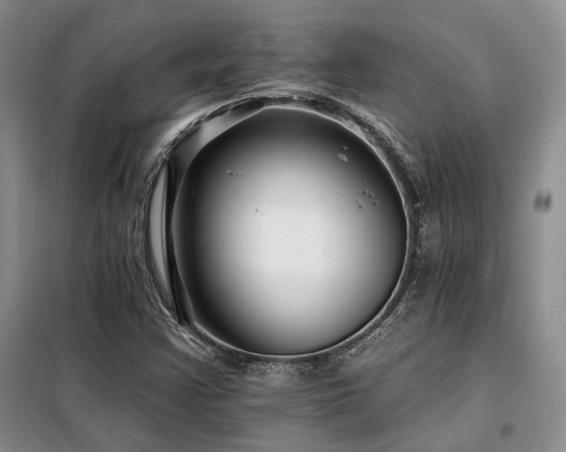 X0000098131355200804171511