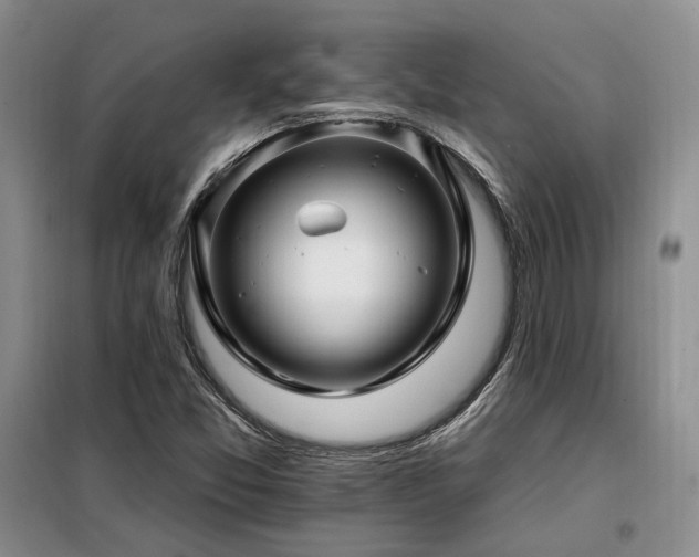 X0000098131357200804171511