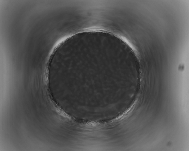 X0000098131358200804171511