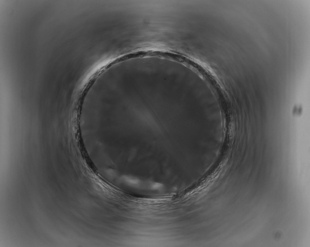 X0000098131359200804171511
