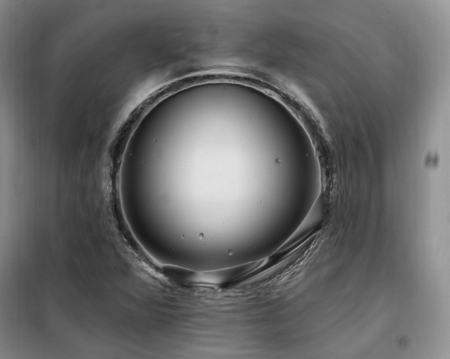 X0000098131360200804171511