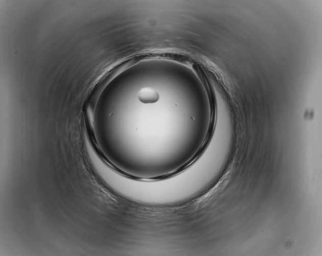 X0000098131361200804171511