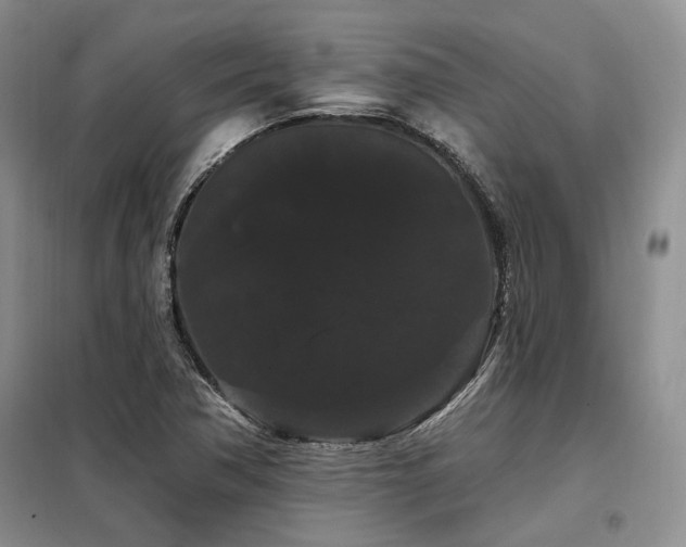 X0000098131362200804171511