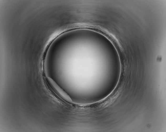 X0000098131365200804171510