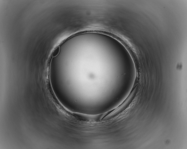 X0000098131366200804171510