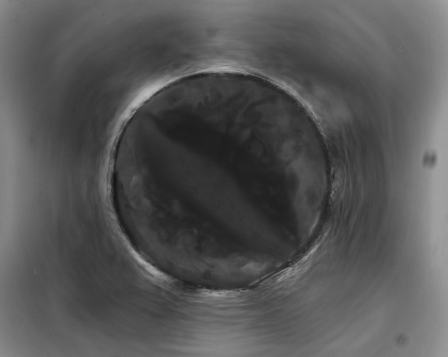 X0000098131367200804171510