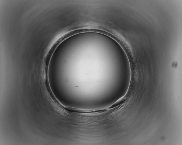 X0000098131368200804171510