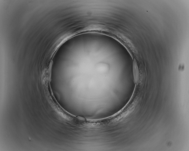 X0000098131369200804171510