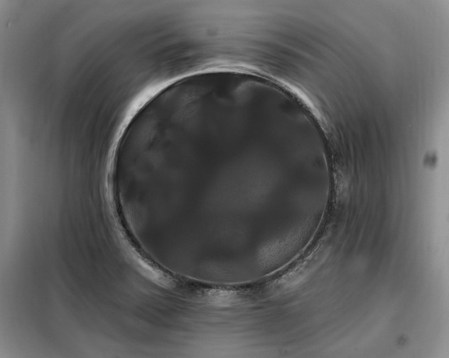 X0000098131371200804171510