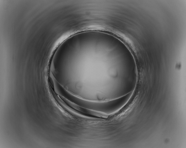 X0000098131373200804171510