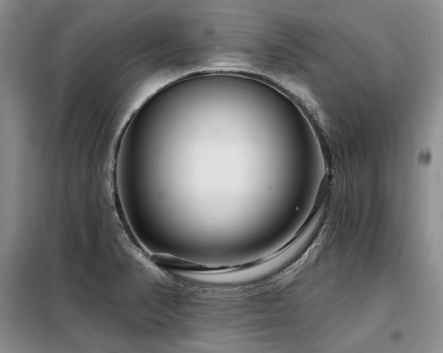 X0000098131374200804171510