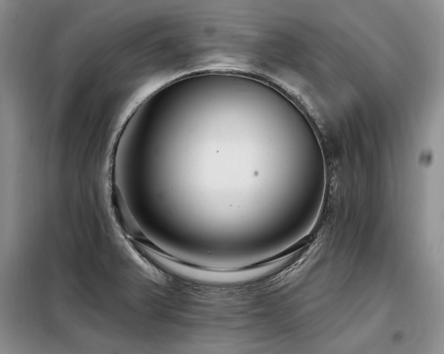X0000098131375200804171510