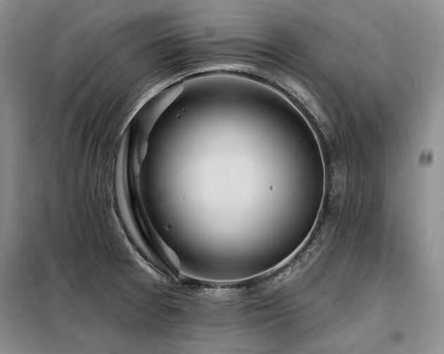 X0000098131377200804171510