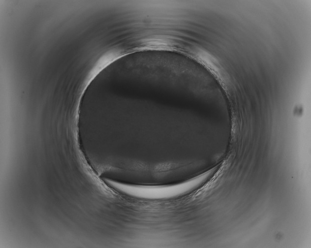 X0000098131378200804171510