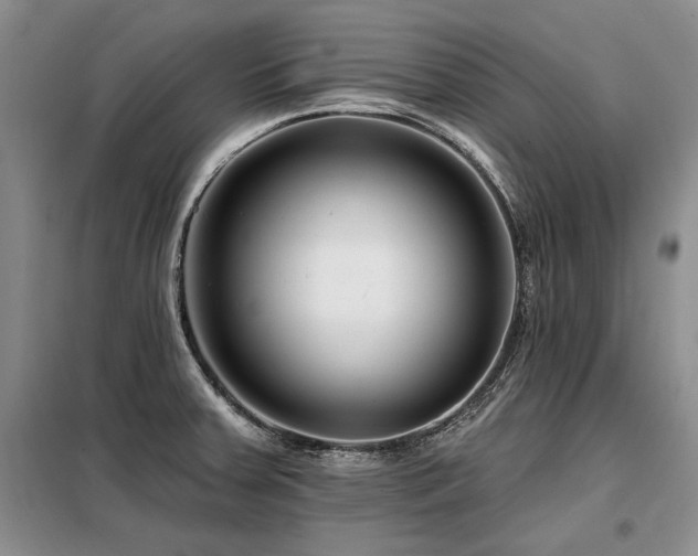 X0000098131379200804171510