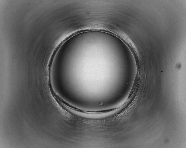 X0000098131380200804171510