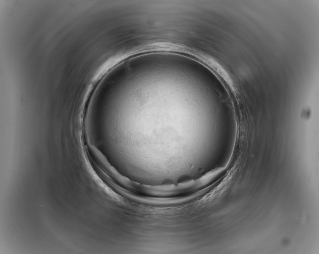 X0000098131381200804171510