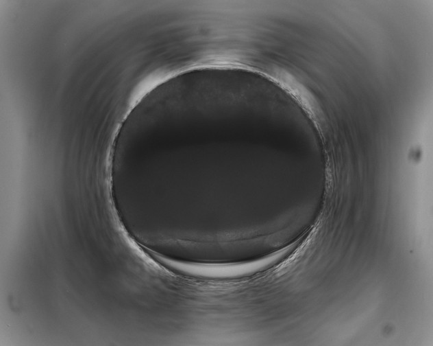 X0000098131382200804171510