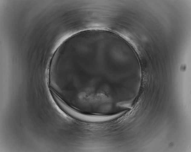 X0000098131383200804171510