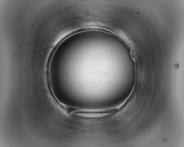 X0000098131384200804171510
